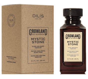 Парфюмерная вода муж. Dilis «Mystic Stone» 100мл.