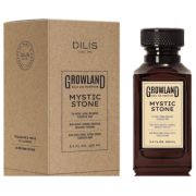 Парфюмерная вода муж. Dilis «Mystic Stone» 100мл.