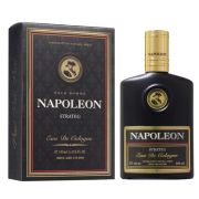 Одеколон Napoleon Strateg 100мл.